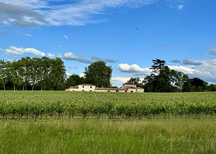 L\'Eperonnette, Cozy House With Swimming Pool, Surrounded By Vineyard, Near St Emilion