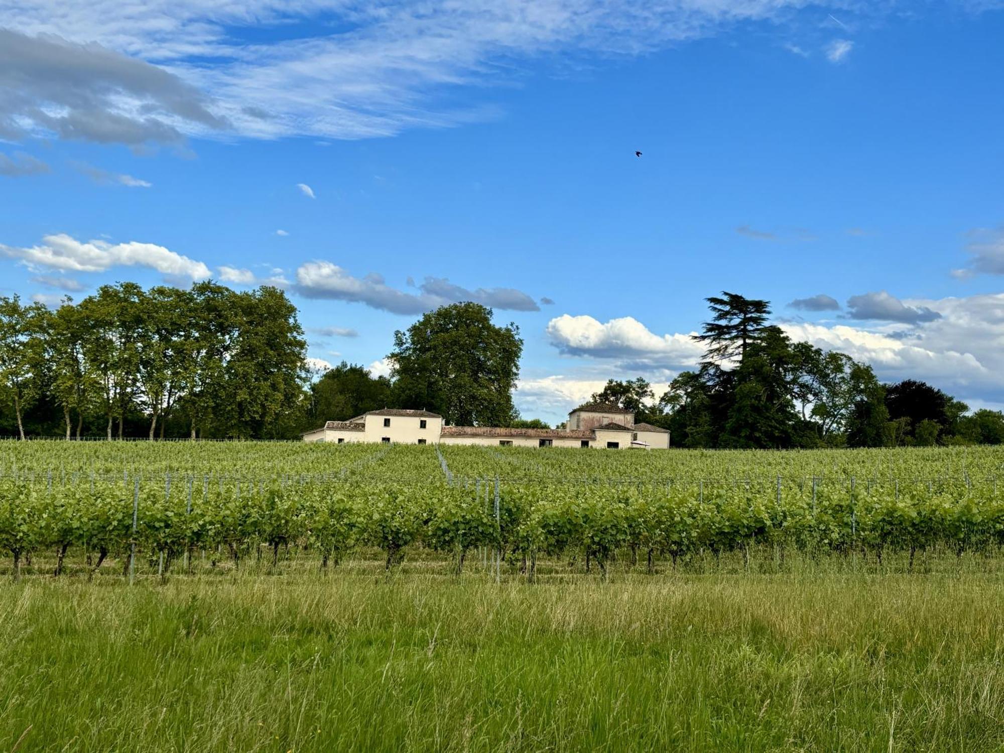 L'eperonnette, Cozy House With Swimming Pool, Surrounded By Vineyard, Near St Emilion Holiday home